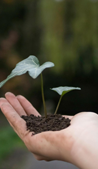 Responsabilidade socioambiental