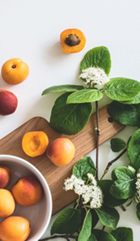 Nutrição e alimentação